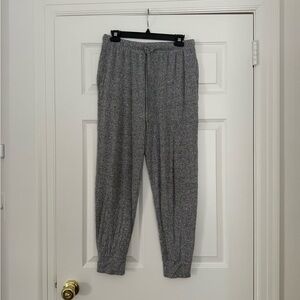Aerie jogger sweatpants